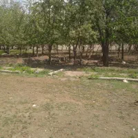 ۵قطعه باغچه ۳۵۰ متری سنددارکنارهم درکرج|فروش زمین و ملک کلنگی|کرج, کلاک پایین|دیوار