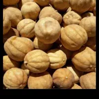 لیمو عمانی  ایرانی