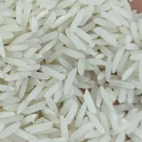 برنج سرگل شیرودی|خوردنی و آشامیدنی|زنجان, |دیوار