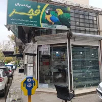 شاگرد مغازه