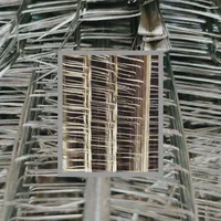 انواع رابیتس