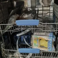 ماشین ظرفشویی ایندزیت