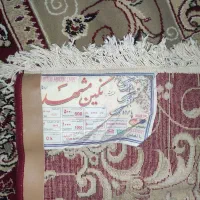 فرش درحد نو|فرش|کیش, |دیوار