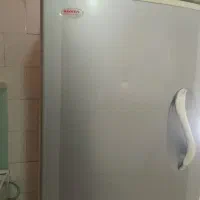 فریزر سونیا