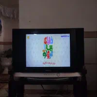 تلویزیون ۲۱ اینچ سامسونگ|تلویزیون و پروژکتور|تویسرکان, |دیوار