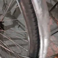 دوچرخه پونیکس|دوچرخه، اسکیت، اسکوتر|باغ ملک, |دیوار