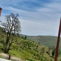 زمین ییلاق برن،رزه