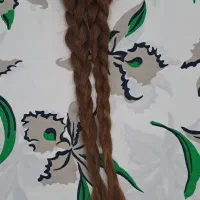 موی رنگی