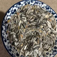 تخمه آفتاب گردون محلی