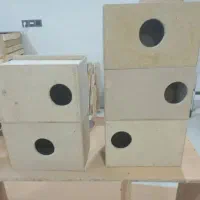 لونه پرنده چوبی