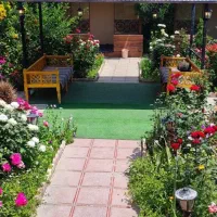 استخدام در باغ‌رستوران نارو نای (شهر حر )