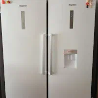 یخچال فریزر دوقلو دیپوینت