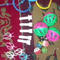 لوازم جانبی پرنده گان.|لوازم جانبی حیوانات|نقده, |دیوار