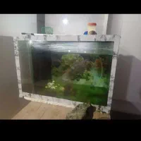 آکواریم