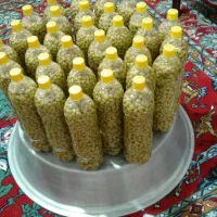 ۱۴۰تا  غوره شور خوشمزه  تازه تازه زیاد بهداشتی