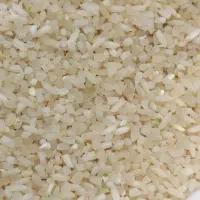 نیم دانه کامفیروزی ب شرط پخت