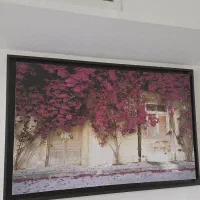 قاب و تزئینات|تابلو، نقاشی، عکس|کرج, کوی زنبق|دیوار