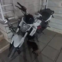 بنلی ۳۰۰ سفید ۲۵۰ چفت cb|موتورسیکلت|پردیس, فاز ۲|دیوار