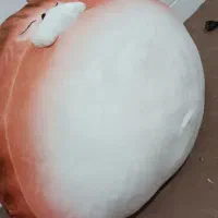 عروسک گربه ای گرد طرح گاردفلید 70 سانتی