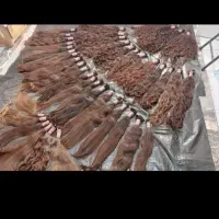 خ بار موی طبیعی