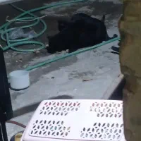 لوله کشی آب و فاضلاب خانگی و انجام کارهای جوشکاری