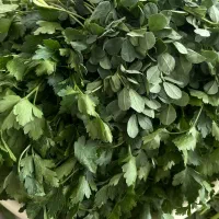 سبزی خورد شده