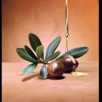 راهنمای می کنم برای کمردرد