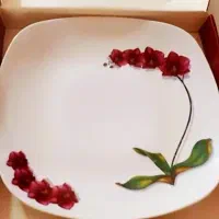 ظروف چینی قدیمی
