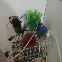 2 عدد آکواریوم و وسایل|ماهی|قائن, |دیوار