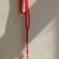 سندلوس مرجانی گریدA