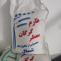 برنج طارم فجر خوشپخت تک به قیمت عمده