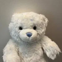 عروسک خرس پولیشی نو