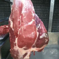 گوشت ماده گاوی