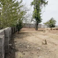 فروش زمین 1200متری مسکونی با انشعابات کامل|فروش زمین و ملک کلنگی|آستانه اشرفیه, |دیوار