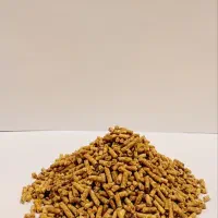 مرغ تخمگذار استارتر خوراک بازاری قیمت مناسب