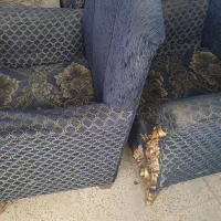 مبل راحتی فقط ۳۰۰ نومان|مبلمان خانگی و میز عسلی|شیروان (خراسان), |دیوار