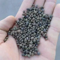 خرید وفروش قره ماش گاودانه کافشه عدس