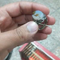 انگشتر شجر قائن