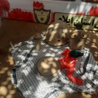 کاروان زیارتی وسیاحتی کربلای معلی