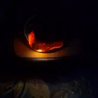 سنگ کمیاب کهربا