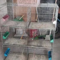 قفس جوجه پران کارکرده