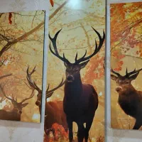 دو دست تابلو دکوراتیو پنج تکه نو