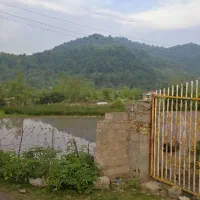 زمین با ویوی ابدی با سازه ۱۶۰ متری تا ستون طبقه۱|فروش زمین و ملک کلنگی|ماکلوان, |دیوار