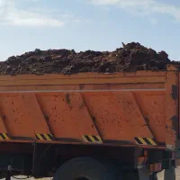 کود حیوانی.گاوی.گوسفندی.مرغی|خدمات باغبانی و درختکاری|تربتحیدریه, بالا ولایت|دیوار