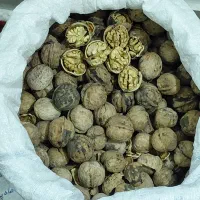11کیلو گردو درجه یک