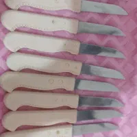 کارد میوه خوری دوازده عددی