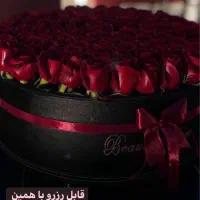دسته گل باکس گل رز هلندی صد شاخه ای فقط ۹۹۹تومن|گل و گیاه طبیعی|مشهد, آزادشهر|دیوار