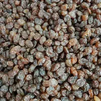 کشمش ابگیری افتابی سایه خشک شیره انگور شانی شرابی|عمده‌فروشی|تهران, میدان میوه و تره‌بار مرکزی|دیوار