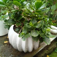 پتو دو نفره در حد نو