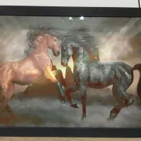 چراغ خواب|چراغ خواب و آباژور|تهران, دانشگاه شریف|دیوار